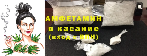 прущая мука Вяземский