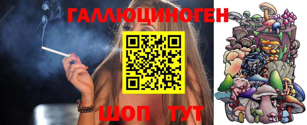 Галлюциногенные грибы Psilocybe  Вход с VPN  Верхний Уфалей 