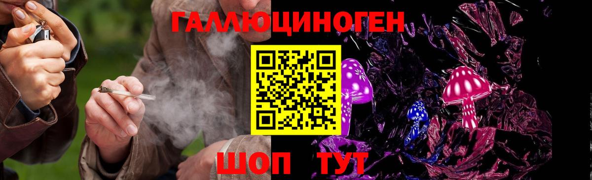 Псилоцибиновые грибы GOLDEN TEACHER Верхний Уфалей